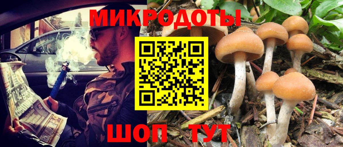 Галлюциногенные грибы мухоморы Северск