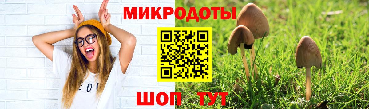Галлюциногенные грибы прущие грибы  Галлюциногенные грибы мицелий  Вход с VPN  Северск 