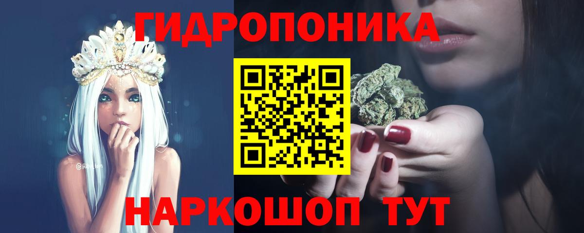 Бошки марихуана Ganja  Вход с VPN  Северск  Бошки марихуана Bruce Banner  Каннабис Bruce Banner  Марихуана гибрид 